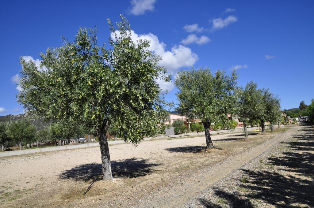B&B I Graniti Sardi Villasimius Dış mekan fotoğraf